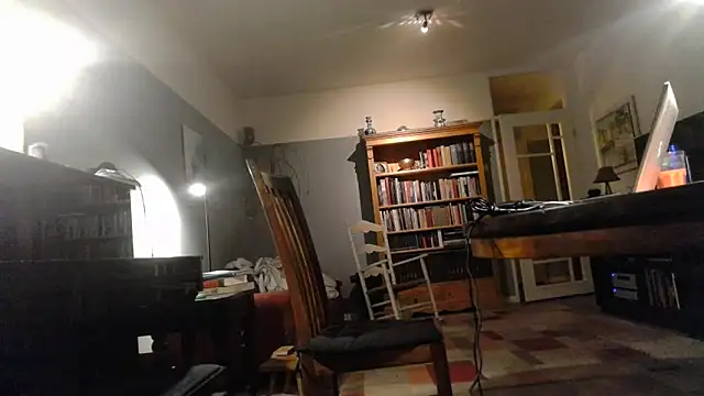 Snapshot of RolfS chatting on 9, 10, 2025 RolfS online show from 9, 10, 2025