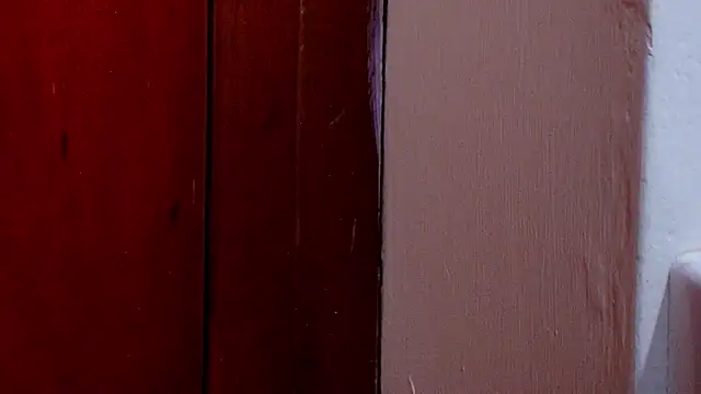 Snapshot of anisha_x chatting on 25, 10, 2025 anisha x online show from 25, 10, 2025