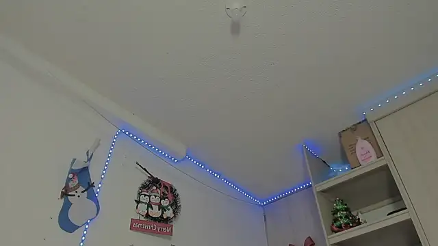 Snapshot of _diegsz_ chatting on 31, 12, 2024 diegsz online show from 31, 12, 2024