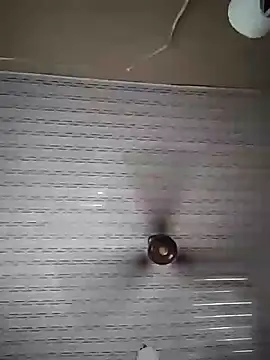 stephbig777 online show from 1, 2, 2026