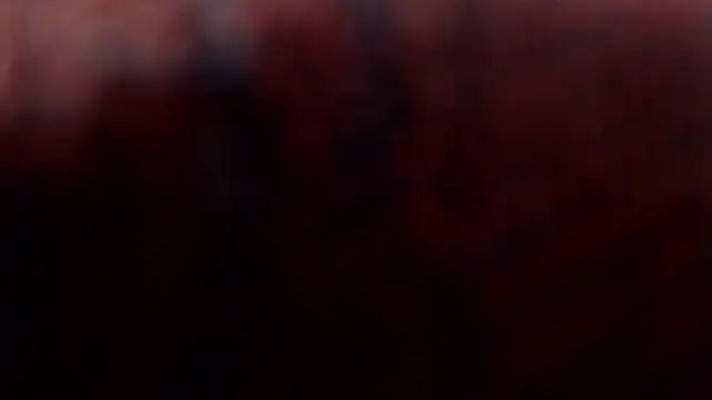 1BECHA1 online show from 5, 3, 2026