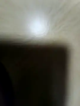 rocksrockydick online show from 17, 11, 2025