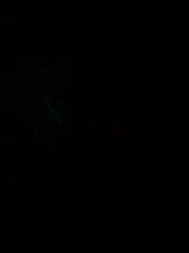 Snapshot of josle24 chatting on 8, 12, 2024 josle24 online show from 8, 12, 2024