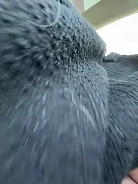 Giuliana baby online show from 21, 3, 2026