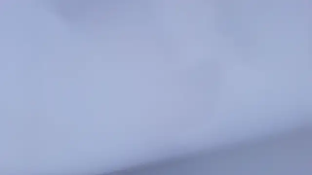 nicol f online show from 23, 4, 2026