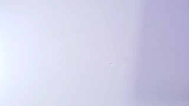 nicol f online show from 5, 3, 2026