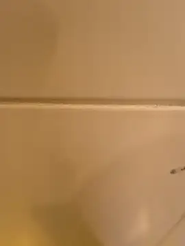 joeyriddle online show from 27, 4, 2026