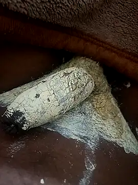 CuteyCouple online show from 22, 3, 2026