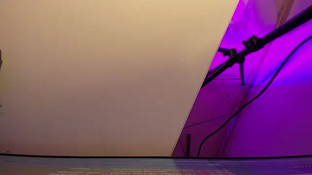 sarah  bigboobs online show from 3, 3, 2026