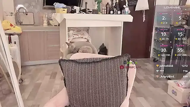 -XunMengLong- online show from 5, 12, 2024