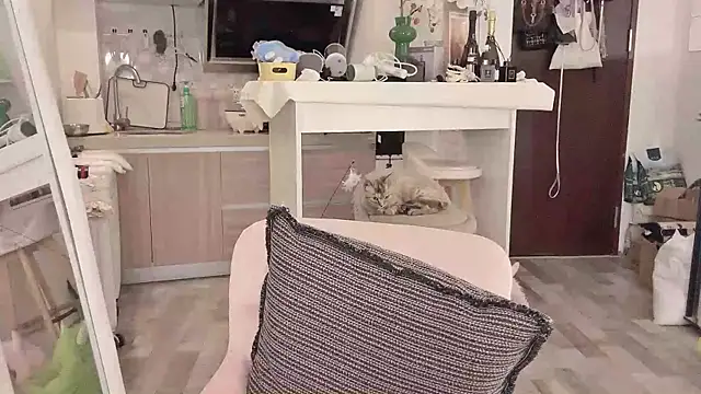 -XunMengLong- online show from 11, 3, 2025