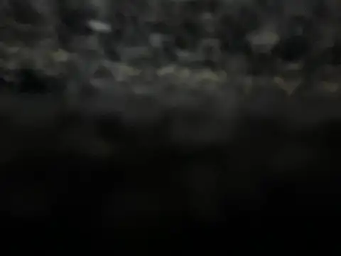  my ass  online show from 9, 2, 2025