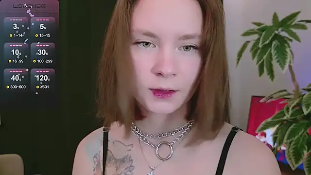 Pink SeaGul online show from 6, 12, 2024