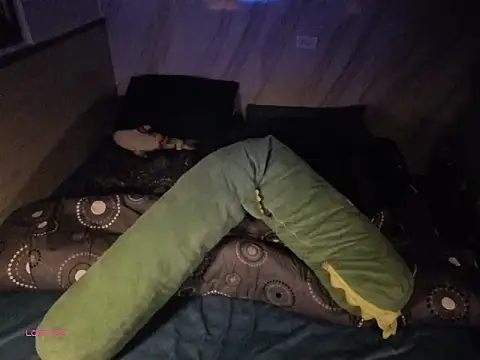 bbhiShark online show from 23, 10, 2025