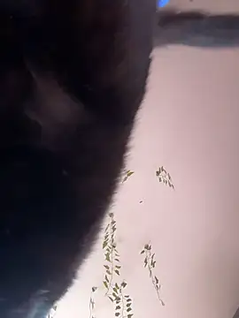 -Sexy Barbie- online show from 11, 10, 2025