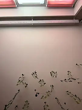 -Sexy Barbie- online show from 9, 10, 2025