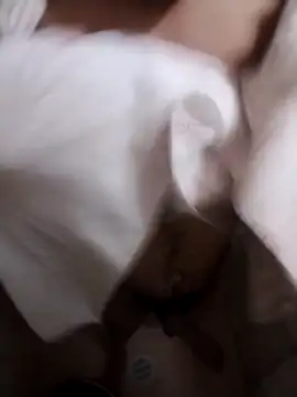 Professor Leo  online show from 2, 2, 2026