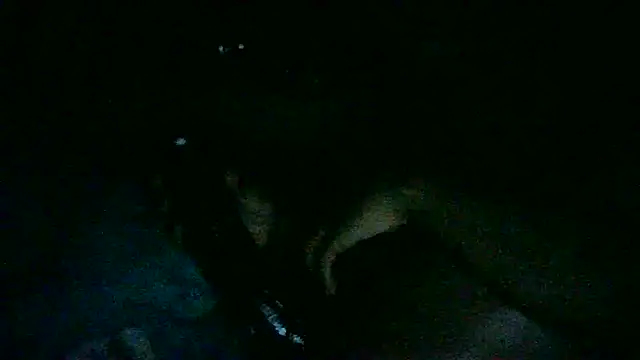 DI4MOND FIR3 online show from 7, 11, 2025