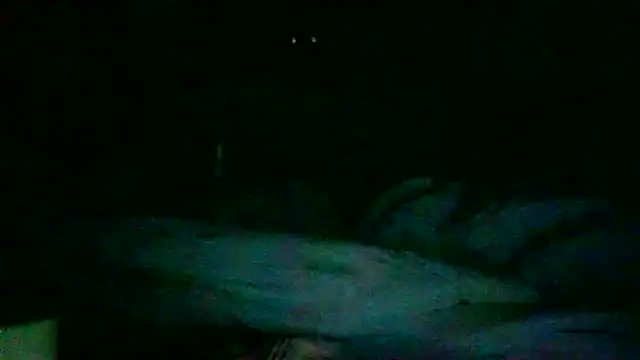 DI4MOND FIR3 online show from 27, 11, 2025