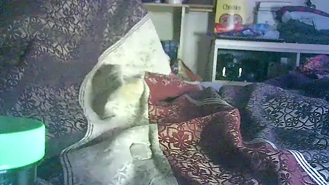 Snapshot of DI4MOND_FIR3 chatting on 3, 6, 2026 DI4MOND FIR3 online show from 3, 6, 2026