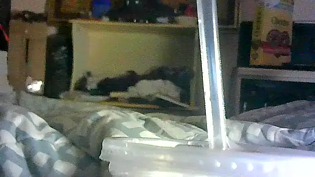 DI4MOND FIR3 online show from 17, 4, 2026