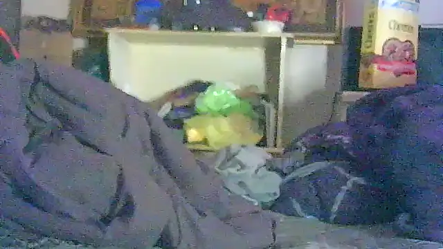 DI4MOND FIR3 online show from 9, 4, 2026