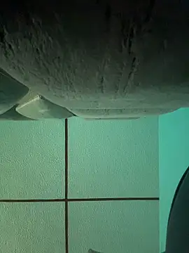 Snapshot of dulce_celeste15 chatting on 15, 11, 2025 dulce celeste15 online show from 15, 11, 2025