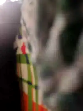 Snapshot of Priya-bhabi012 chatting on 25, 4, 2026 Priya-bhabi012 online show from 25, 4, 2026