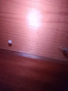 brbrrbrbrb online show from 24, 2, 2026