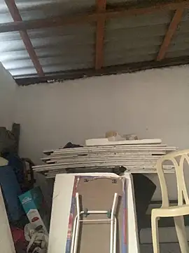 Charlotte Bradshaw online show from 18, 3, 2026