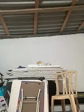 Charlotte Bradshaw online show from 16, 3, 2026