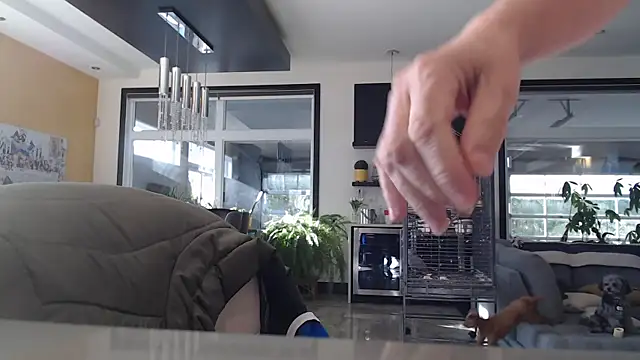 Toy-Daddy online show from 6, 11, 2025