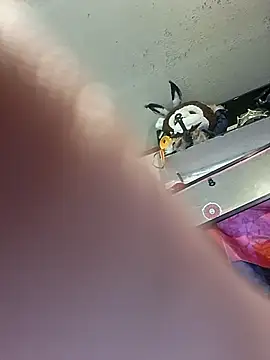 gettinit2wice online show from 11, 3, 2026