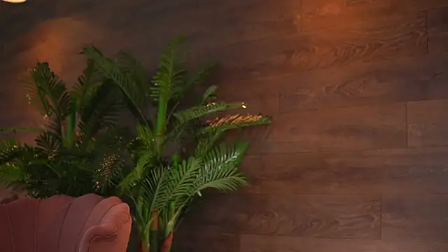 KairaAndrews online show from 12, 2, 2026