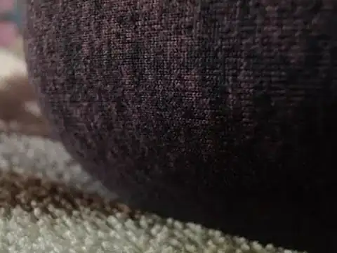 hoittytoittyxx online show from 3, 3, 2025