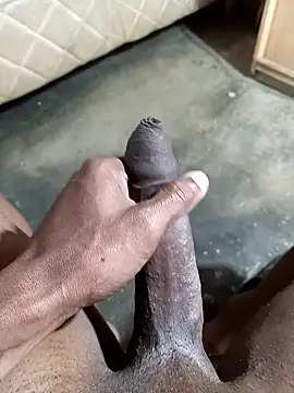 Sur1711 online show from 8, 1, 2026