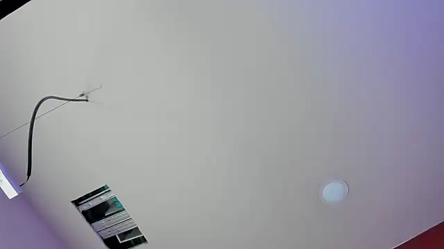 Kate bunny  online show from 27, 6, 2026