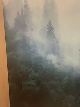 ladoucedu34 online show from 11, 2, 2026