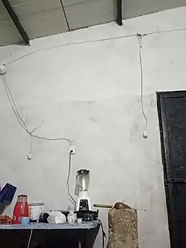 travieso2893 online show from 13, 11, 2025