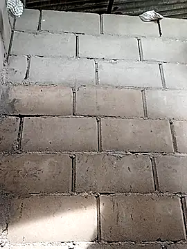 travieso2893 online show from 25, 11, 2025