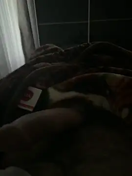 Serkan3356 online show from 13, 11, 2025