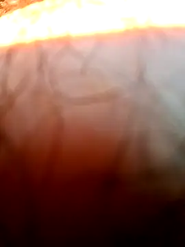 mfreitas005 online show from 22, 4, 2026