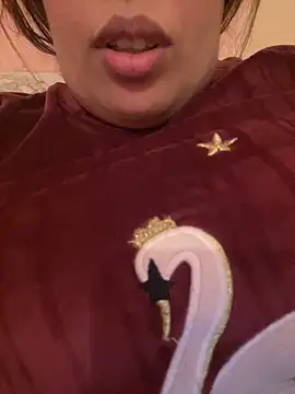 Snapshot of Samarr_9and chatting on 20, 12, 2024 Samarr 9and online show from 20, 12, 2024