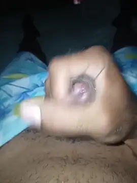 taylorWiiz online show from 15, 12, 2025