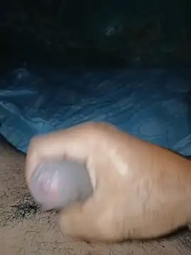 taylorWiiz online show from 11, 1, 2026