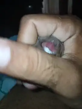 taylorWiiz online show from 1, 2, 2026