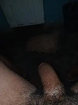 taylorWiiz online show from 23, 12, 2025