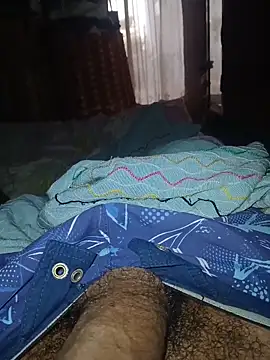 taylorWiiz online show from 9, 11, 2025