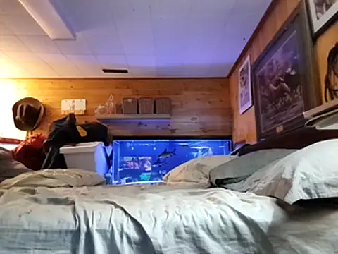 Ryan and Aurora online show from 9, 3, 2026