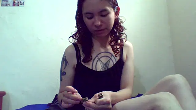 CELEna098rs707 online show from 12, 11, 2025